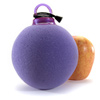 Remote control egg