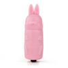 Remote control egg