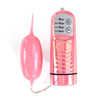 Remote control egg