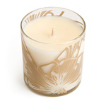 Illume happiology candles