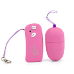 "7 function wireless remote egg"