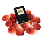 "Rose petals explosion"