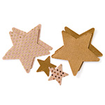 "Superstar gold pasties"