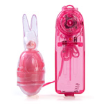 "Pleasure bunny bullet"