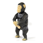 "Masturbating monkey"