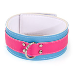 Fresh buckle collar