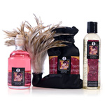 "Shunga tenderness and passion collection"