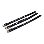 Special order studded collar