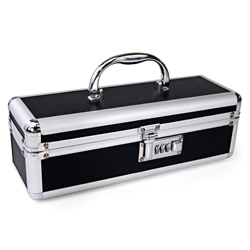 Lockable sex toy case