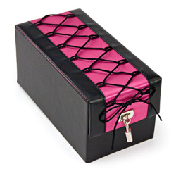 Lock box for discreetly storing sex toys.