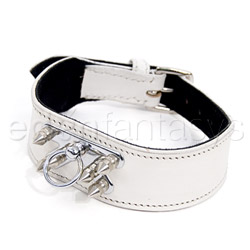 Center spike his pulse collar