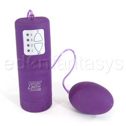 Waterproof pocket exotics egg - Egg