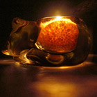 Warmth