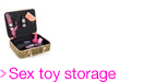 Sex toy storage