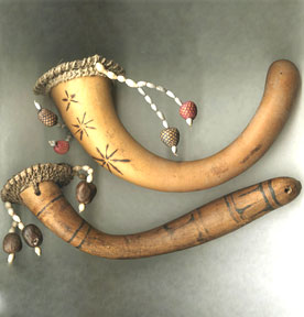 penis gourds (aka phallocrypts or holim)