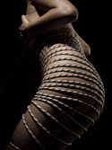 A Buyers Guide to Restraints