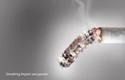 Smoke After Sex? (You&rsquo;re probably just doing it too fast.)