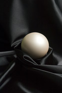 From Sex Toy Apprentice to Aficionado in One Year