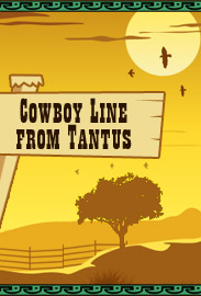 Cowboy sex toys from Tantus