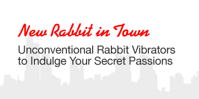 New Rabbit In Town