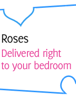 Roses Delivered right to your bedroom
