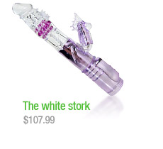 The white stork