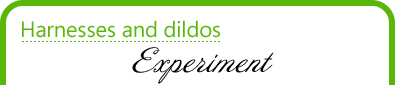 Harnesses and dildos
