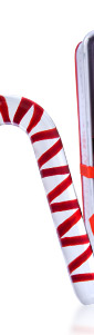 Sweet candy cane