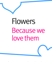 Flowers. Because we love them
