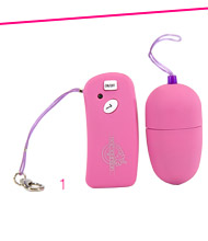 7 function wireless remote egg