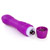 Conqueror