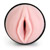 Fleshlight lady original