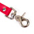 Bound leash