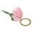Junior ring
