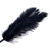 Ostrich feather