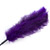 Ostrich feather