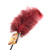 Ostrich feather