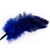 Ostrich feather