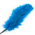 Ostrich feather