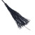 Whipper tickler